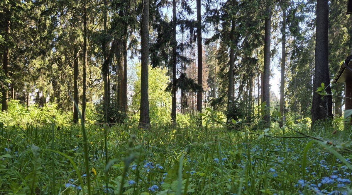 земля р-н Всеволожский г Всеволожск ул Каменерская Ладожская фото 11