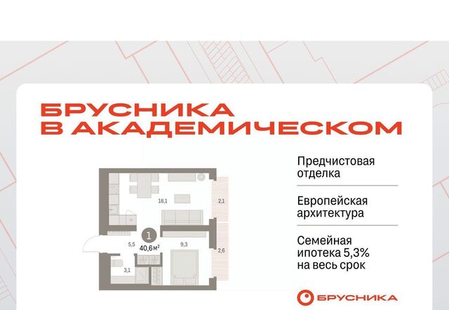Чкаловская Академический ЖК Брусника в Академическом 19-й кв-л фото