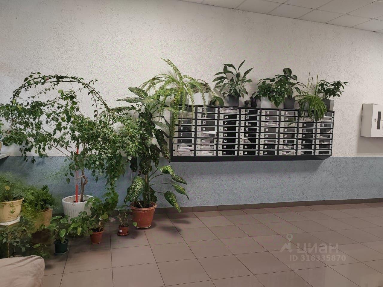 квартира г Сочи ул Ульянова фото 3