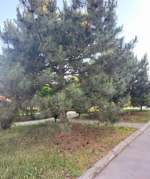 квартира г Таганрог ул Инструментальная 43ак/4 фото 27