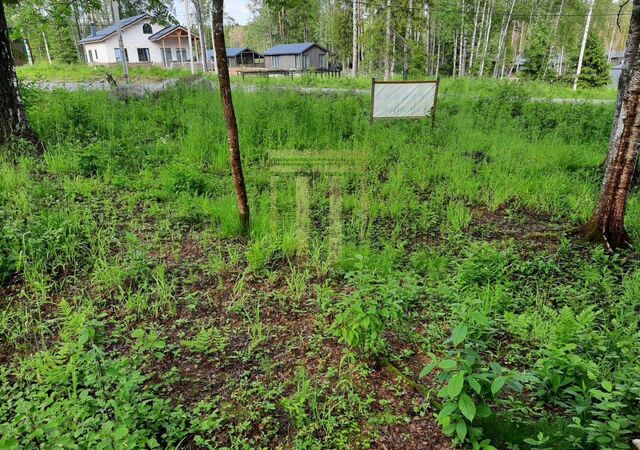 22 км, Всеволожский р-н, Токсовское городское поселение, коттеджный пос. Экофорест, Лесколово, Ленинградское шоссе фото