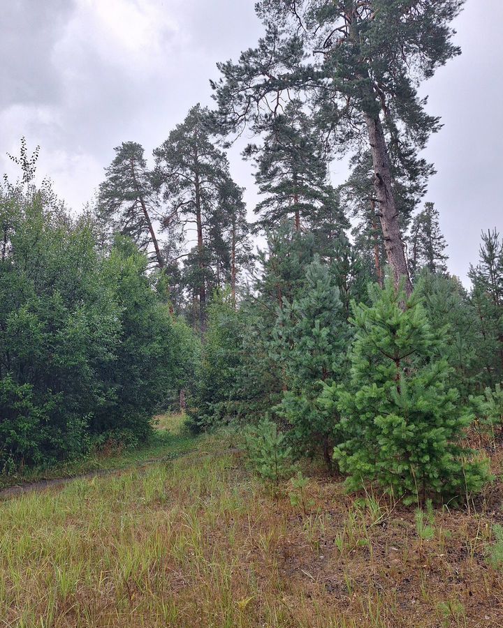 квартира г Арзамас ул Нагорная 3 сельский пос. Пошатово, Чернуха фото 14
