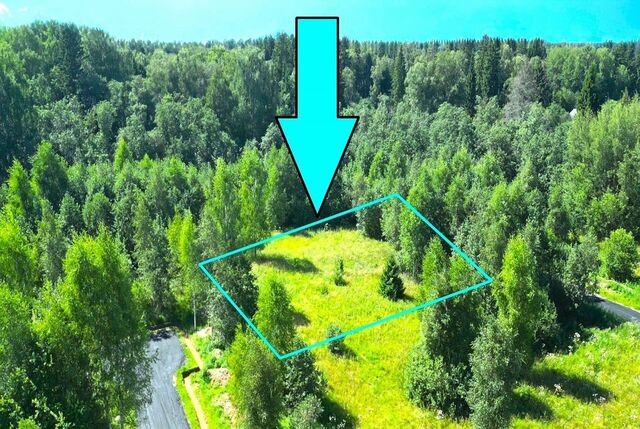 40 км, Истра, Пятницкое шоссе фото