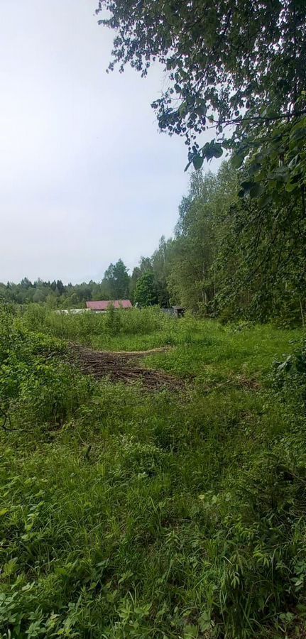 земля г Серпухов 74 км, городской округ Серпухов, Оболенск, Симферопольское шоссе, СНТ Романовка фото 1