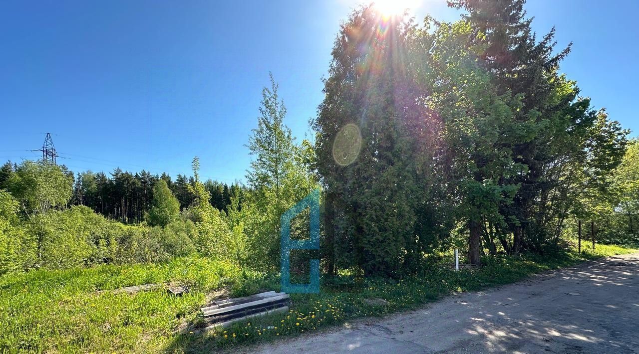 земля г Клин ул Боровая фото 6