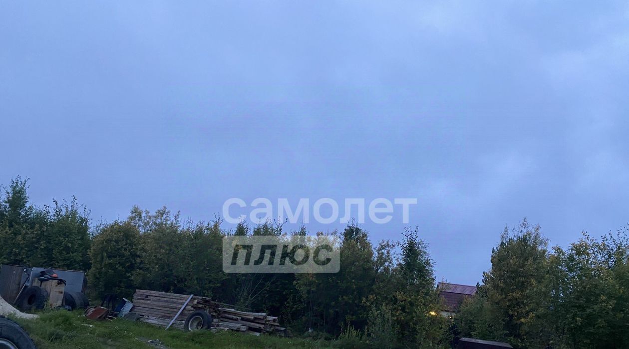земля г Сургут ул Лесная Чернореченский садовое товарищество фото 1