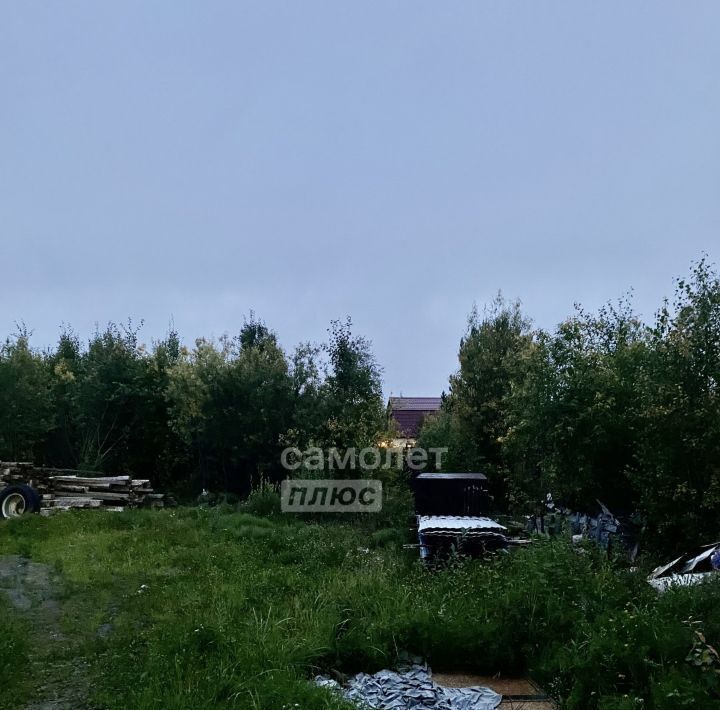 земля г Сургут ул Лесная Чернореченский садовое товарищество фото 5