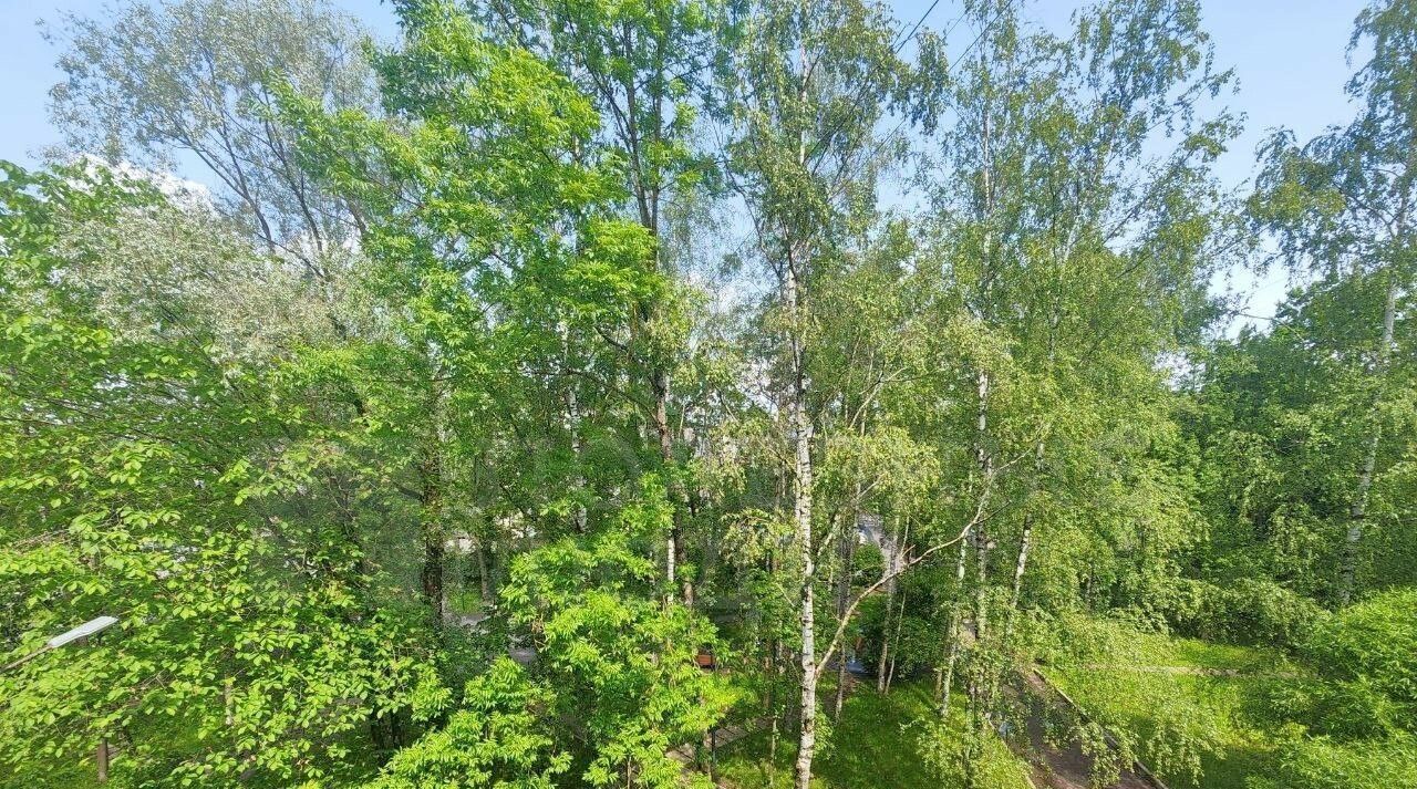 квартира г Великий Новгород пр-кт Мира 27 фото 13