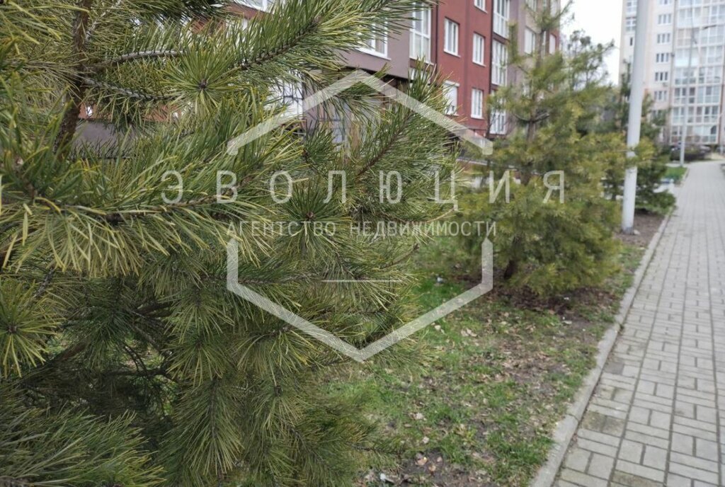 квартира г Калининград ул Ю.Гагарина 55в фото 2