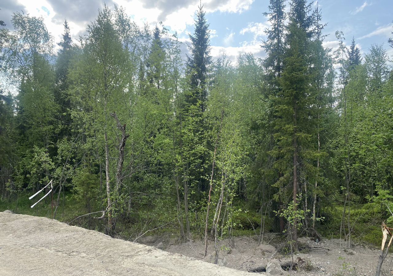 земля р-н Кольский г Кола городское поселение город Кола, товарищество собственников недвижимости Серебряная Горка фото 3