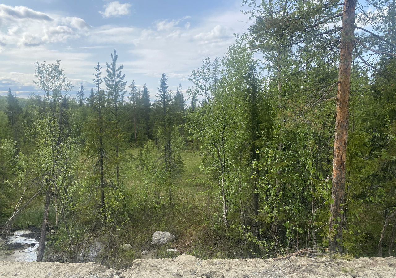 земля р-н Кольский г Кола городское поселение город Кола, товарищество собственников недвижимости Серебряная Горка фото 9