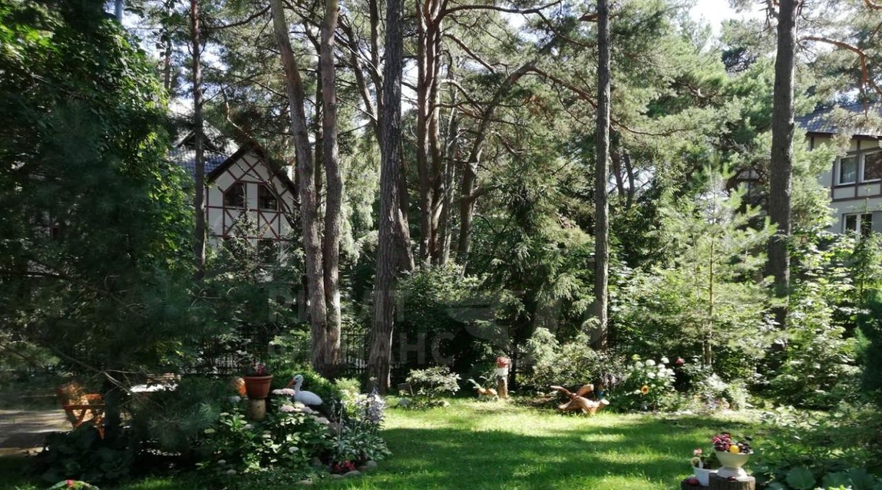 квартира р-н Светлогорский г Светлогорск ул Горького 6а фото 30