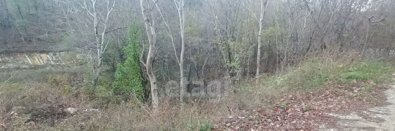 земля г Новороссийск р-н Приморский 72, Родничок СНТ фото 2