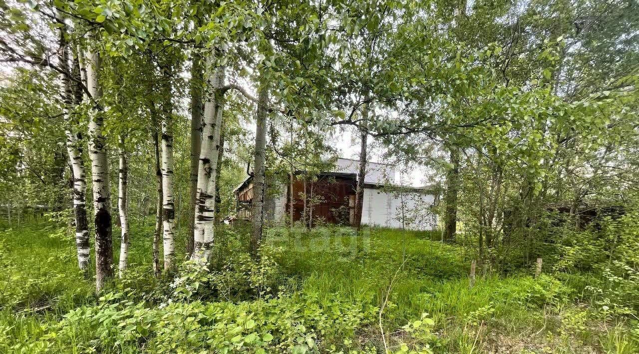 производственные, складские г Череповец р-н Заягорбский ул Космонавта Беляева 102а фото 7
