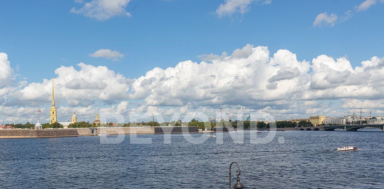 квартира г Санкт-Петербург метро Невский Проспект наб Дворцовая 16 фото 20