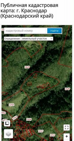 садоводческое товарищество Лесной Массив фото