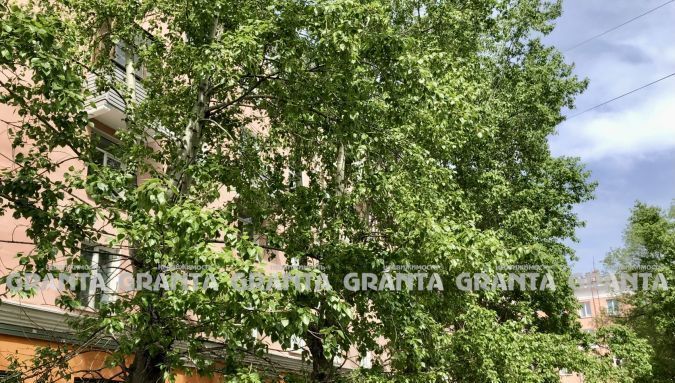 квартира г Красноярск р-н Кировский ул Академика Вавилова 23 фото 4