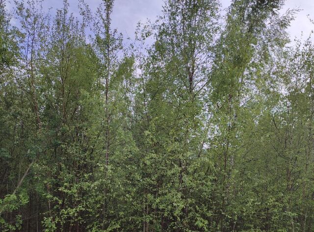 ул Новая 8 фото