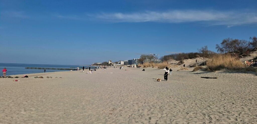 квартира р-н Зеленоградский г Зеленоградск фото 26