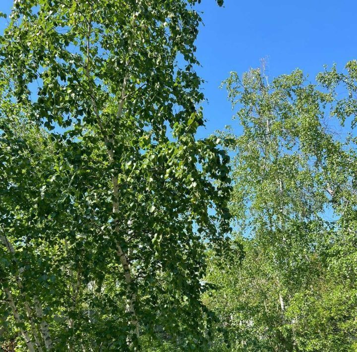 дом г Якутск ш Покровское 7йм фото 9