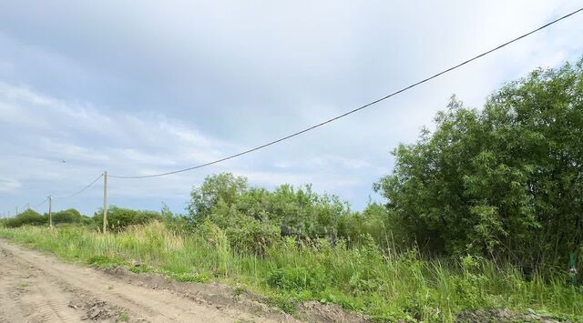 р-н Центральный снт Матрешка ул. Елисеевская фото