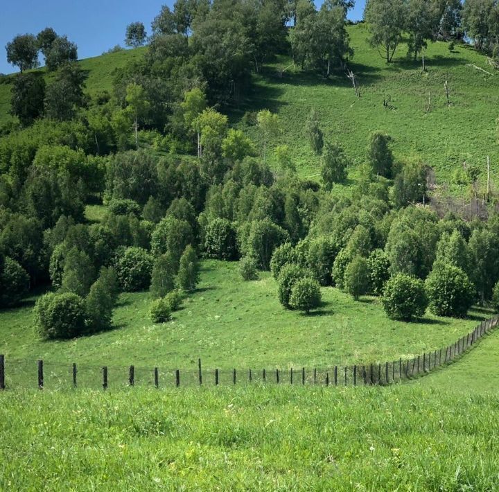 производственные, складские г Белокуриха ул Алтайская 80 фото 11