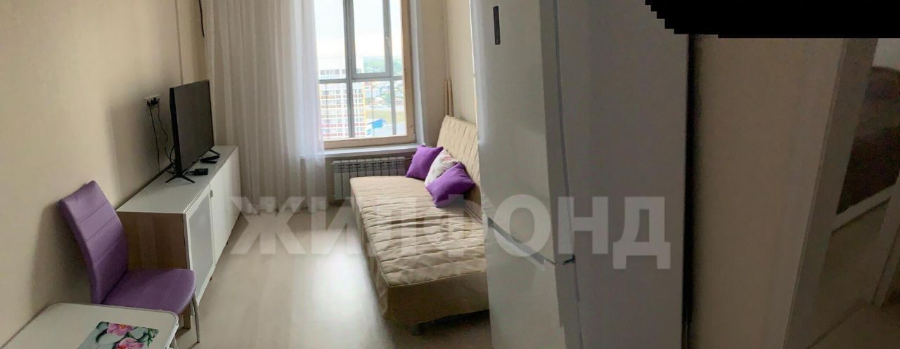 квартира г Новосибирск ул Ясный Берег 8 Площадь Ленина фото 9