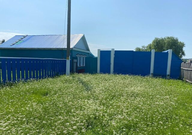 Республика Татарстан Татарстан, Адельшинское сельское поселение, Чистополь фото