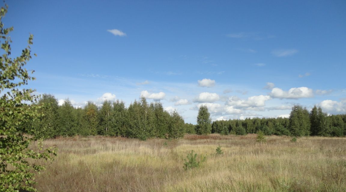 земля р-н Городецкий г Городец фото 7