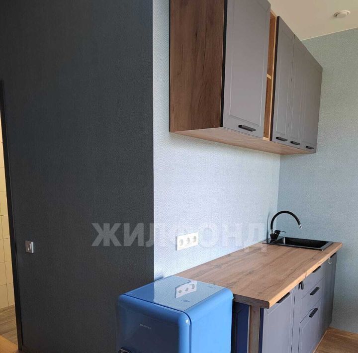 квартира г Новосибирск Заельцовская ул Василия Клевцова 1 фото 3