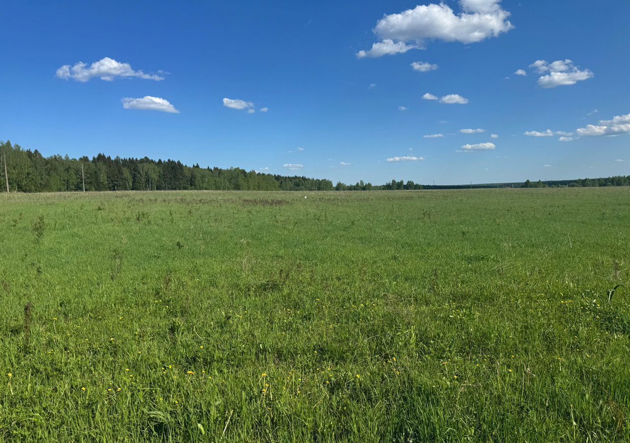 земля р-н Боровский г Боровск Киевское шоссе, 5 км, сельское поселение Совьяки фото 1