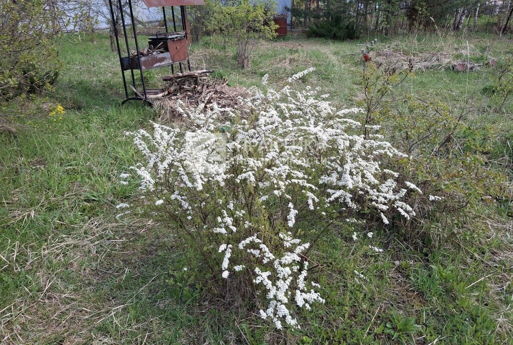 дом городской округ Богородский г Ногинск снт тер.Луговина 829 фото 14