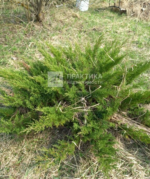 дом городской округ Богородский г Ногинск снт тер.Луговина 829 фото 8