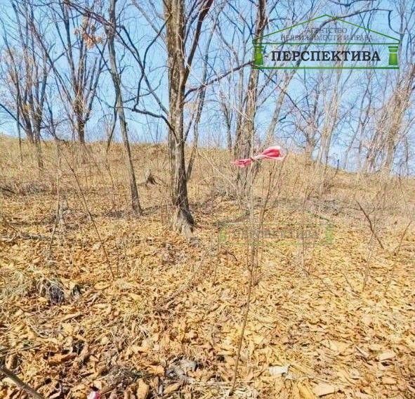 земля г Артем снт Березка-3 76 фото 16