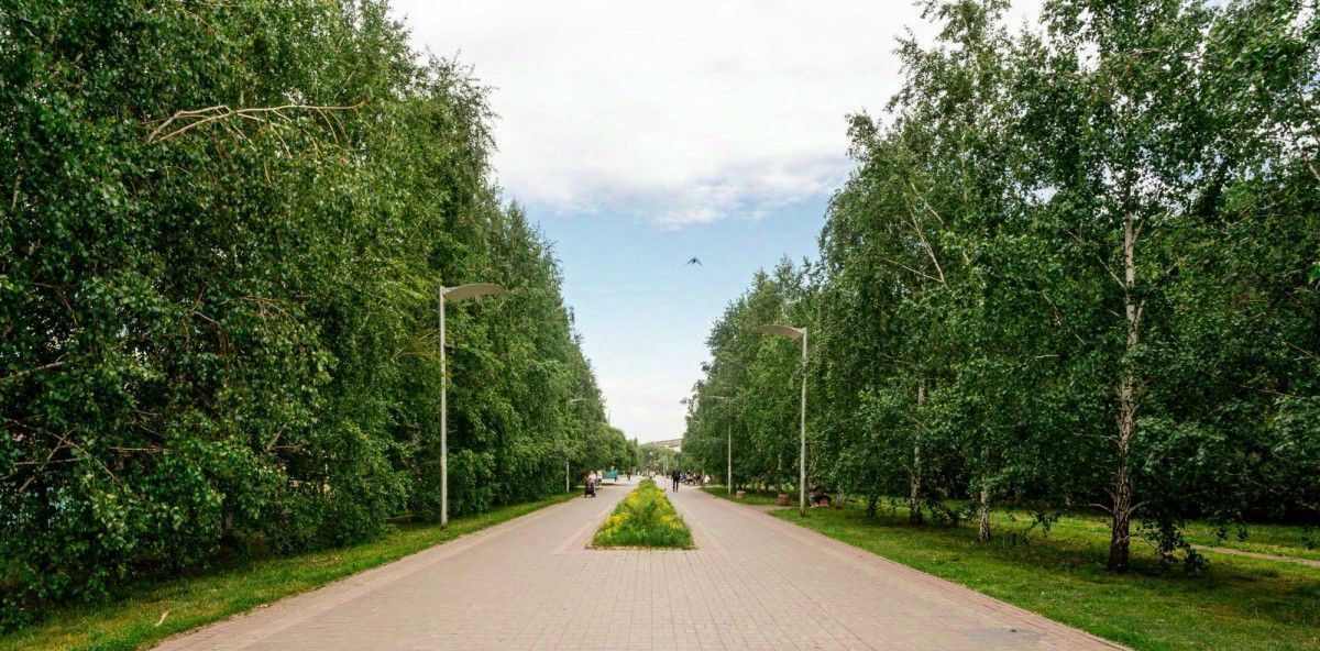 квартира г Омск р-н Центральный ул 20-я Линия 55а фото 28