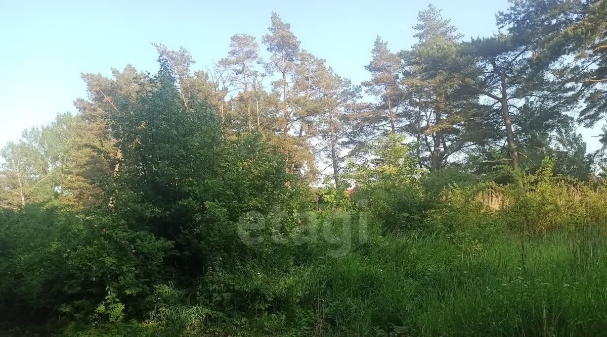 земля р-н Зеленоградский г Зеленоградск ул Берлинская фото 8
