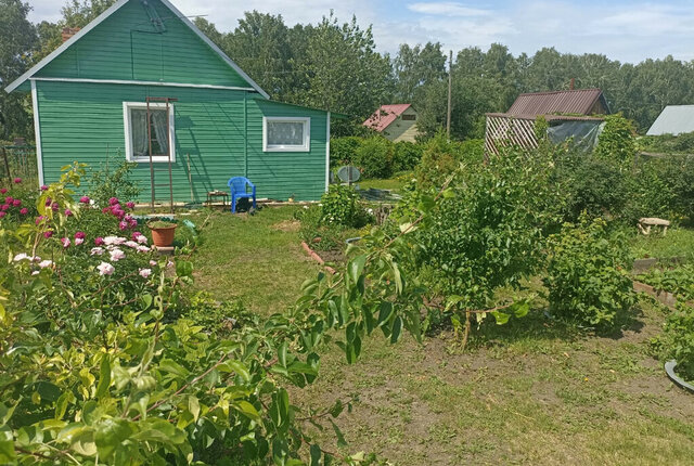 снт Березовая роща фото