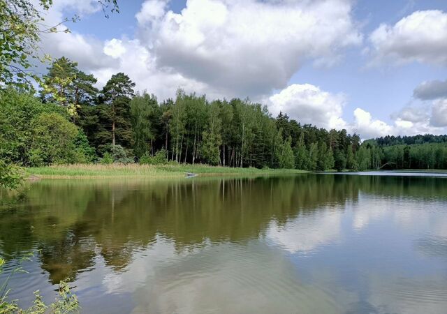 79 км, Богородское, Ярославское шоссе фото