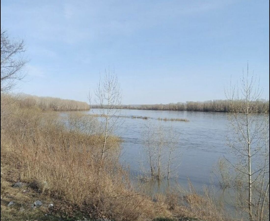 дом г Новокузнецк р-н Орджоникидзевский ул Фесковская 101 Кемеровская обл. — Кузбасс фото 9