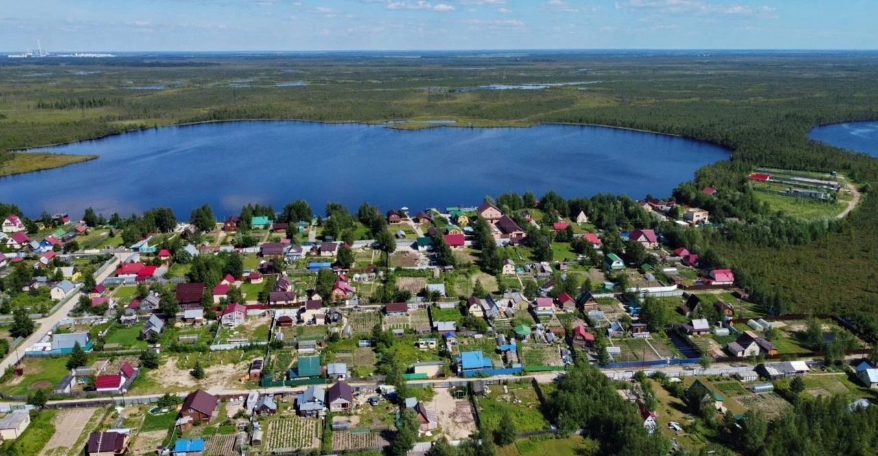 дом г Нижневартовск снт Раздолье Озёрная ул., 27, Тюменская обл., садово-огородническое некоммерческое товарищество фото 1