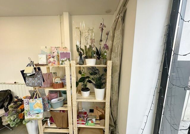 метро Красный Балтиец ул Клары Цеткин 18к/3 фото