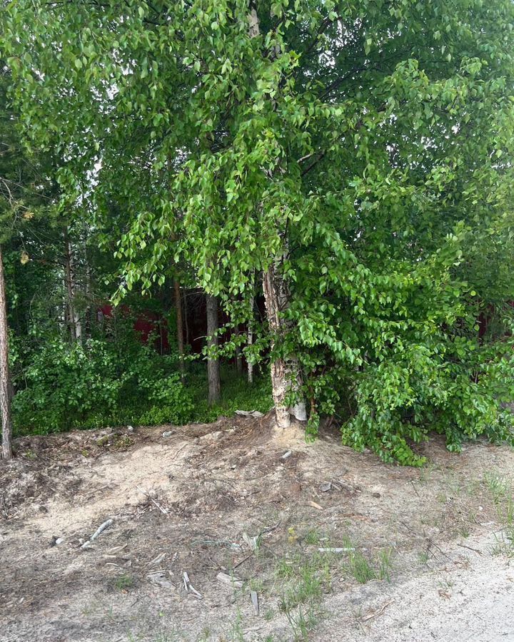 земля г Когалым СПК Трассовик-М, 165, Тюменская обл. фото 1