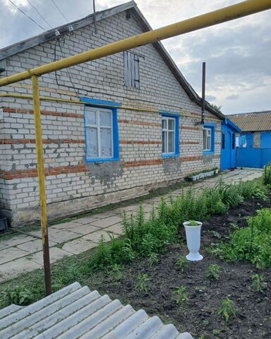 ул Пионерская 14 фото