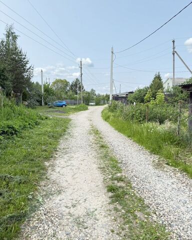 НСТ Корень, 28 фото