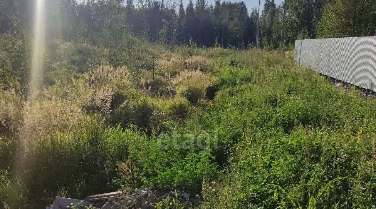 земля г Ханты-Мансийск снт Строитель садово-огороднический кооператив фото 3