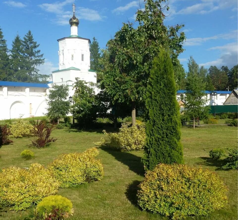 квартира г Рязань р-н Советский Солотча КП Мещерский Филиал ВНИИГиМ ул Мещерская 16к/1 фото 37