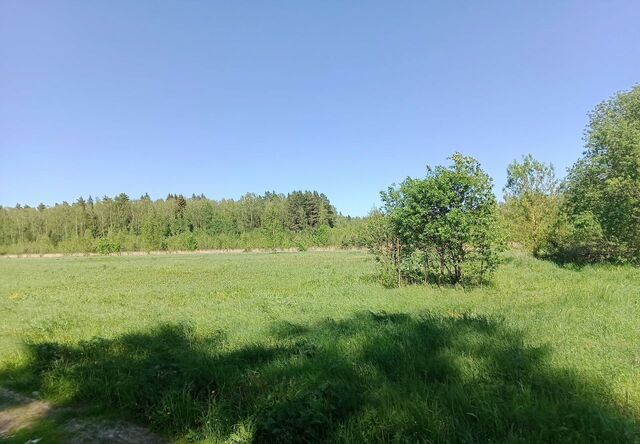 38 км, Ногинск, Щёлковское шоссе фото