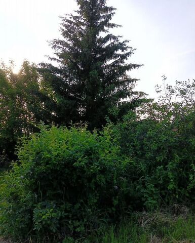 Республика Татарстан Татарстан, Усадское сельское поселение, Высокая Гора фото