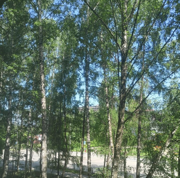 квартира г Томск р-н Кировский Мокрушинский ул Мокрушина 3 фото 24