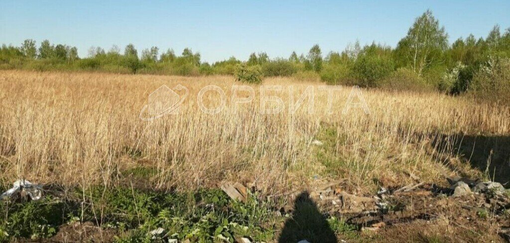 земля г Тюмень снт Поле чудес-2 Центральный административный округ фото 2